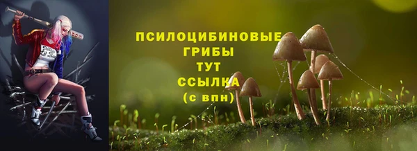 круглые Дмитриев