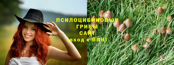 круглые Дмитриев