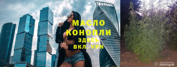 прущие грибы Ельня