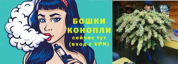 эйфоретик Елизово