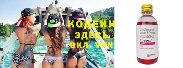 прущие грибы Ельня